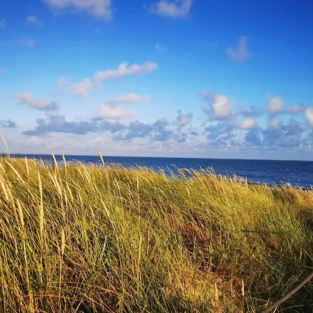 8 Person In Blavand-by Traum Hébergement de vacances Blåvand